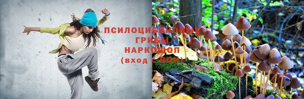 бутират Кинешма