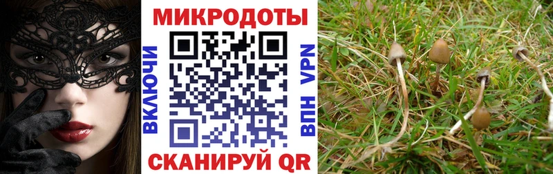 Псилоцибиновые грибы мухоморы  Купить где  Лобня 